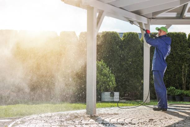 Best Animal Enclosure Cleaning  in Carrizo Springs, TX