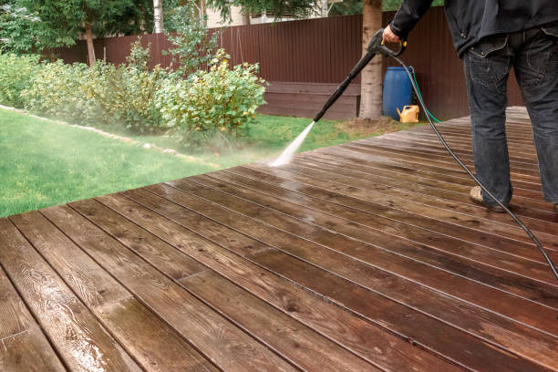 Best Gutter Cleaning  in Carrizo Springs, TX